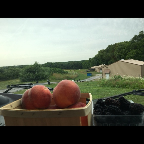 Local Jokers - Picture 12 of 14